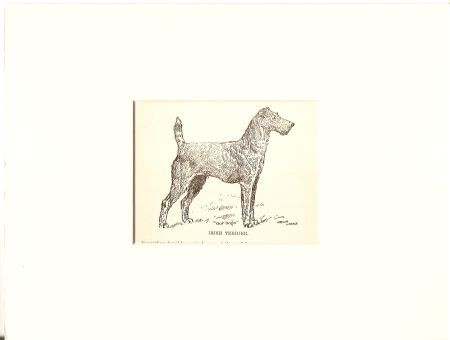 Kunstdruck - Irish Terrier Our Dog